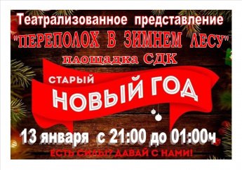 « Переполох в зимнем лесу» 